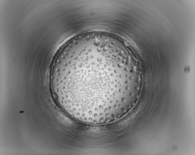 X0000090750790200708101724