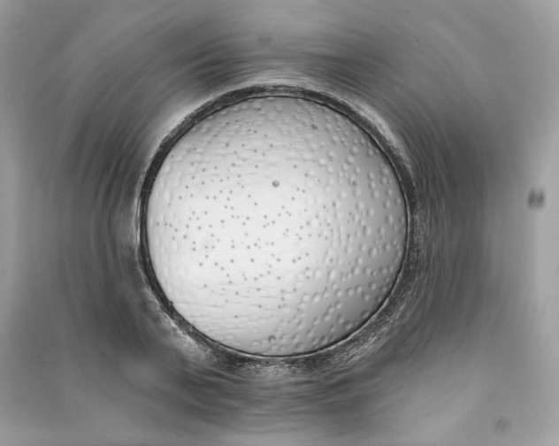 X0000090750791200708101724