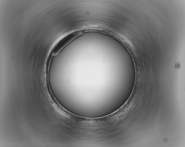 X0000090750792200708101724