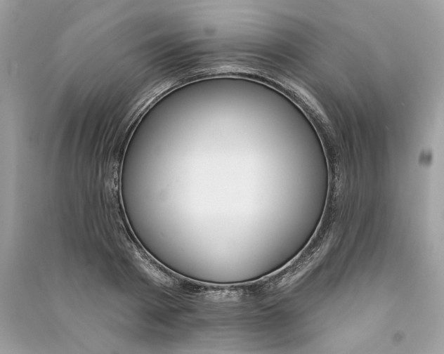 X0000090750793200708101724