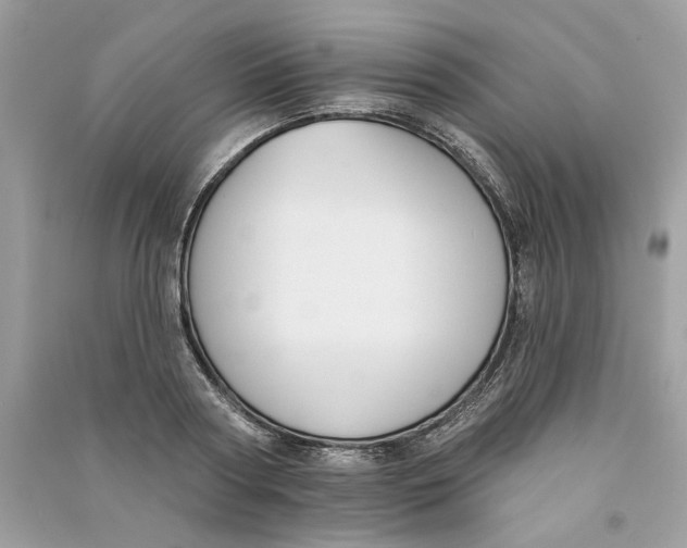 X0000090750794200708101724