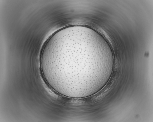 X0000090750795200708101724