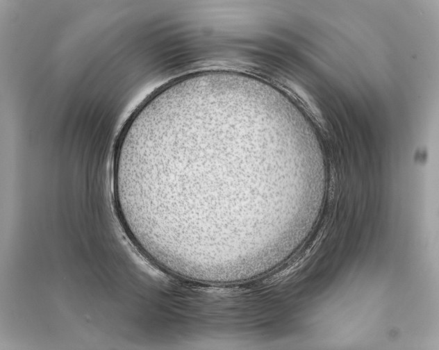 X0000090750796200708101724