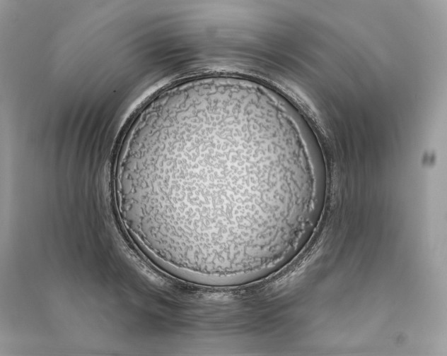 X0000090750798200708101724