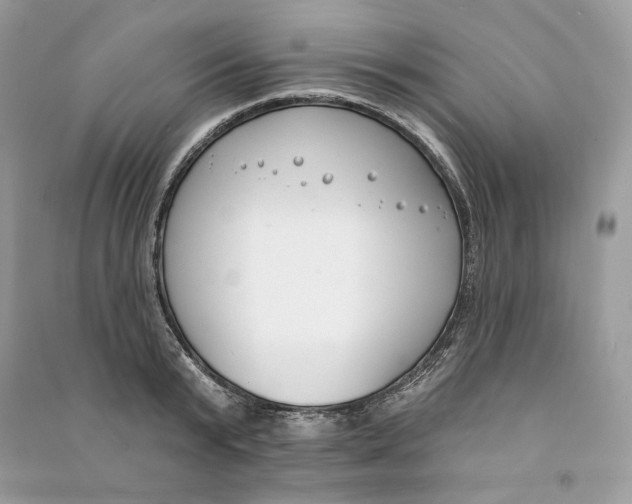 X0000090750799200708101723