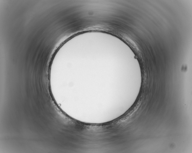 X0000090750800200708101723