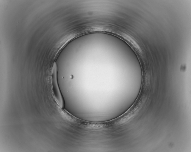 X0000090750801200708101723