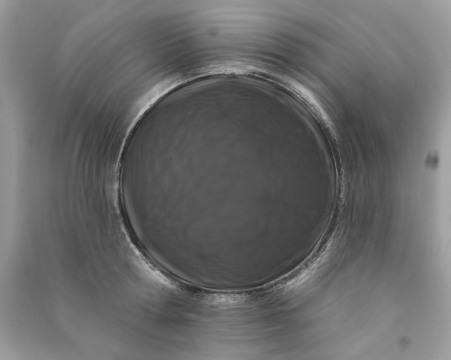 X0000090750802200708101723