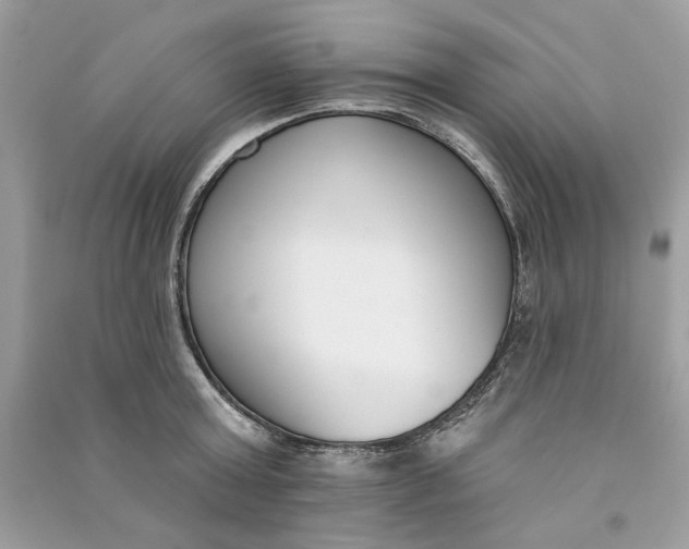 X0000090750803200708101723