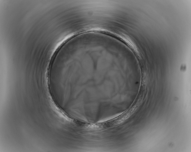 X0000090750806200708101723