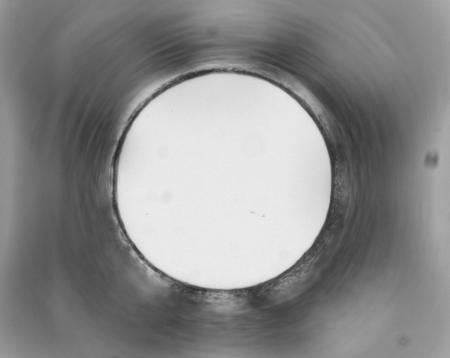 X0000090750807200708101723