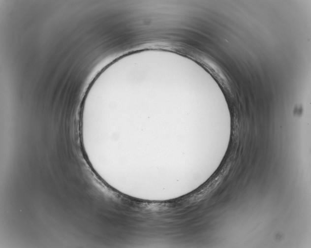 X0000090750808200708101723