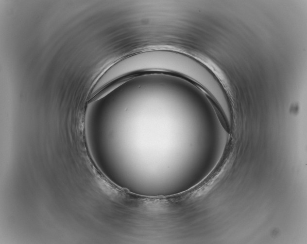 X0000090750809200708101723