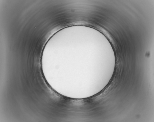 X0000090750810200708101723