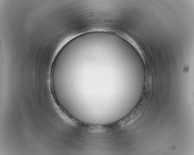 X0000090750811200708101723