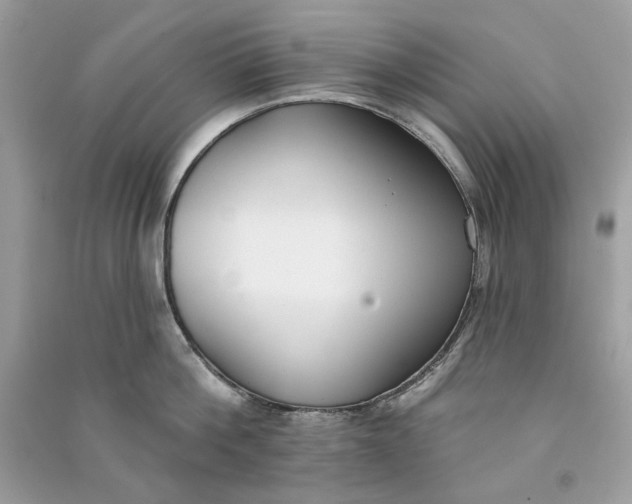 X0000090750812200708101723