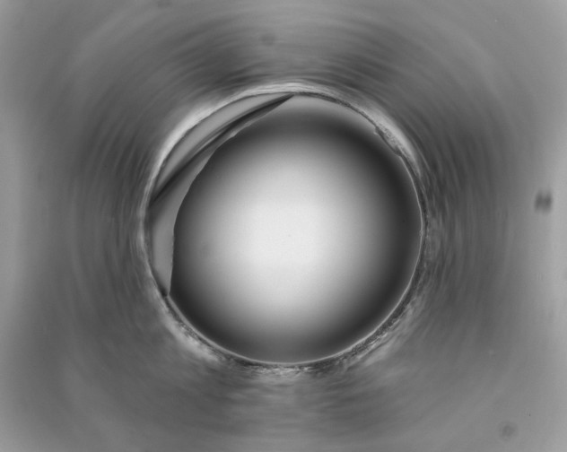 X0000090750813200708101723