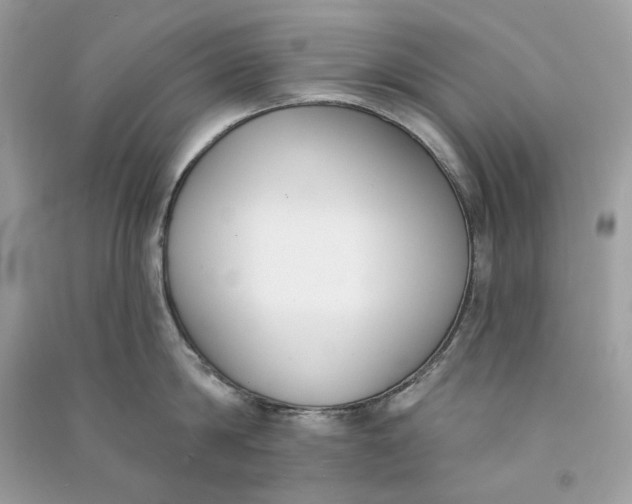 X0000090750814200708101723