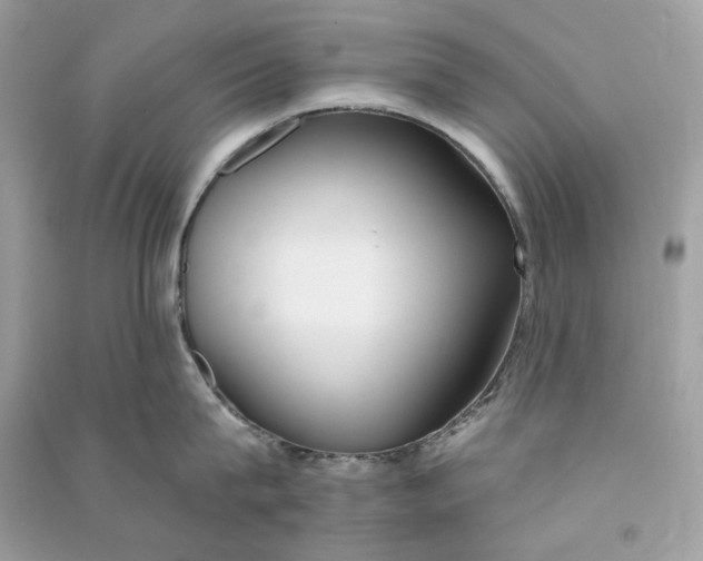 X0000090750815200708101723