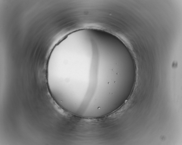 X0000090750816200708101723