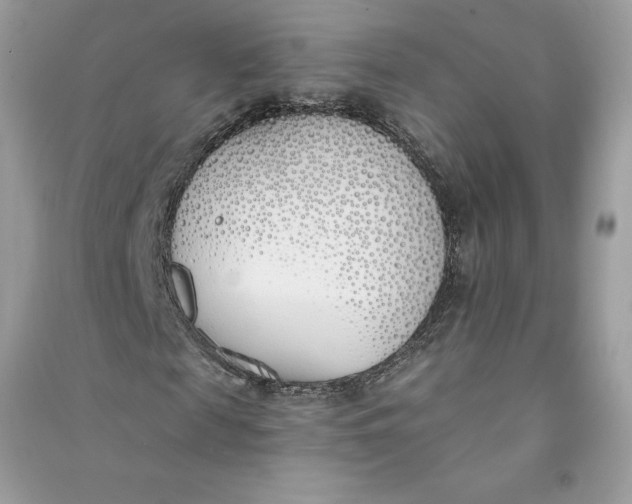 X0000090750817200708101723