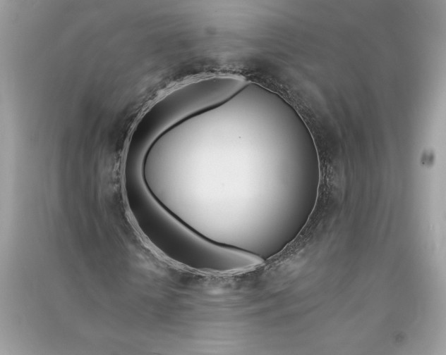 X0000090750818200708101723