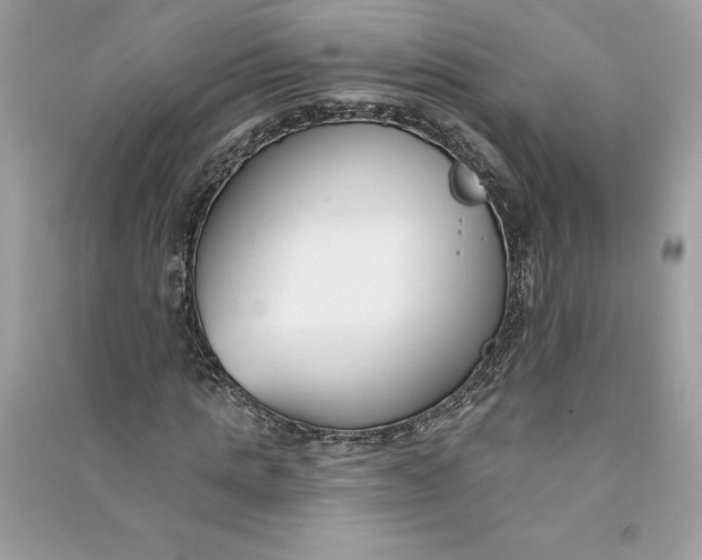 X0000090750821200708101723