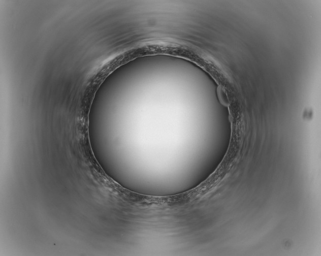 X0000090750822200708101723