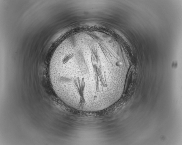 X0000090750823200708101723