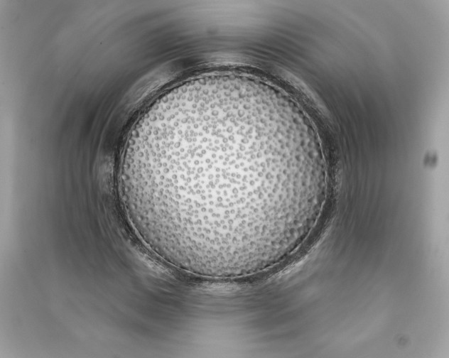 X0000090750825200708101723