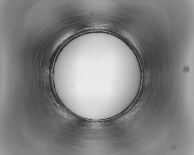 X0000090750827200708101723