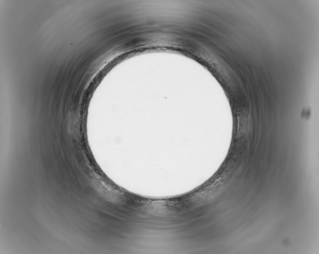 X0000090750828200708101723