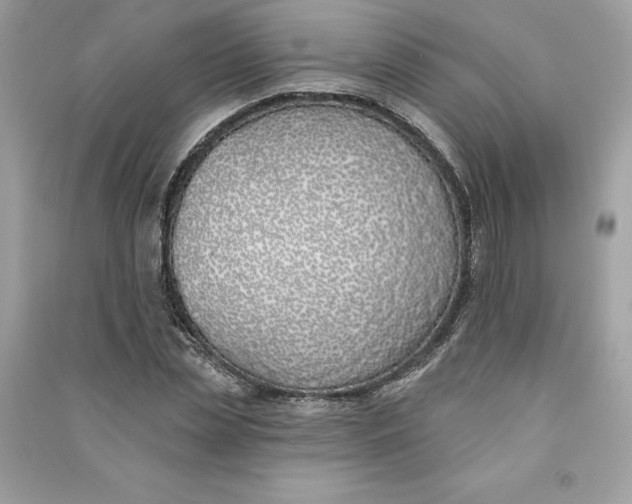 X0000090750829200708101723