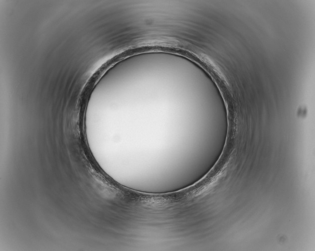 X0000090750830200708101723