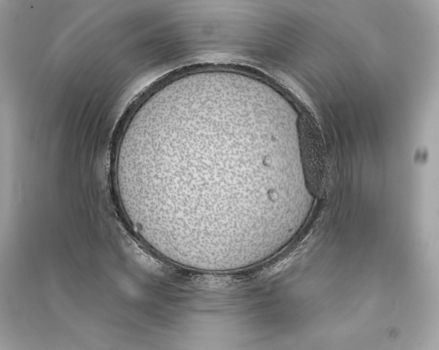 X0000090750831200708101723