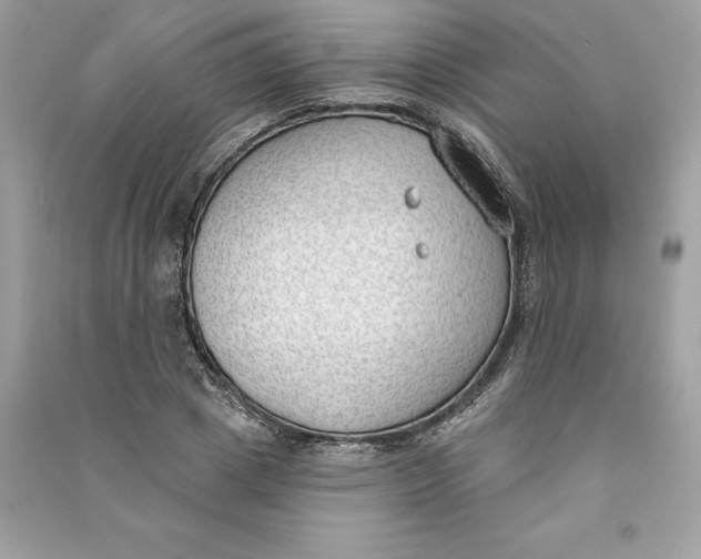 X0000090750833200708101723