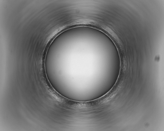 X0000090750834200708101723