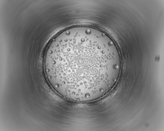 X0000090750835200708101723