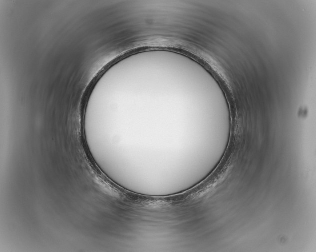 X0000090750837200708101723