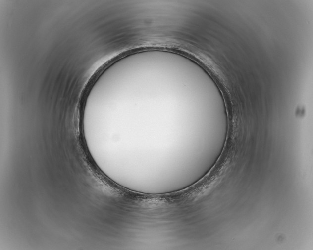 X0000090750838200708101723