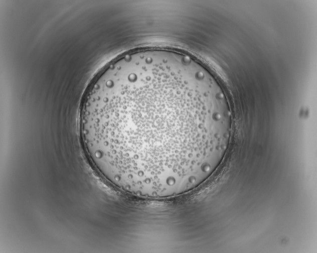 X0000090750839200708101723