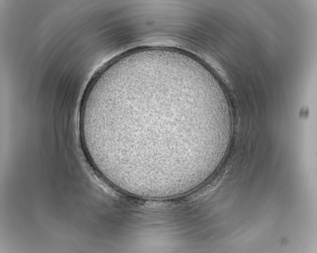 X0000090750840200708101723