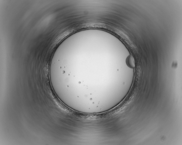 X0000090750841200708101723