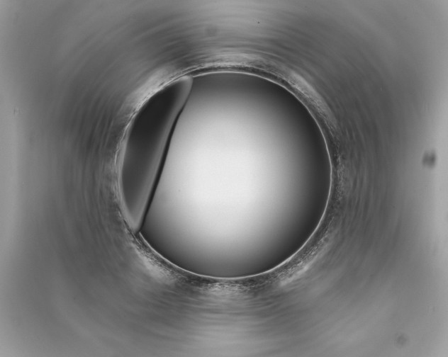 X0000090750842200708101723