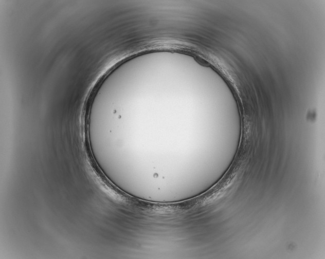 X0000090750843200708101723