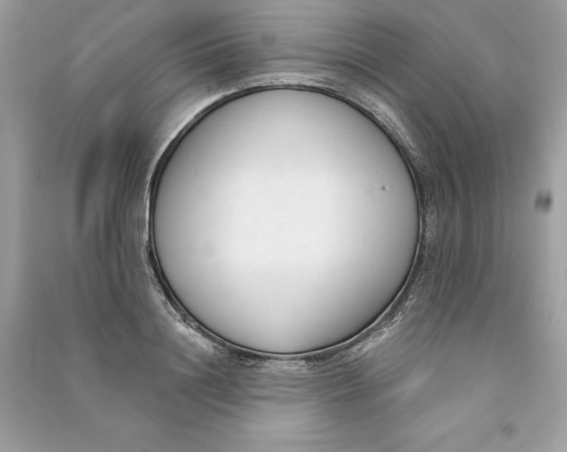 X0000090750844200708101723