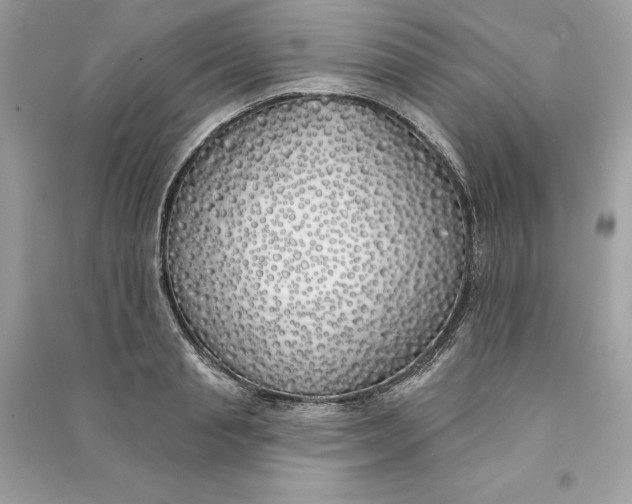 X0000090750845200708101723