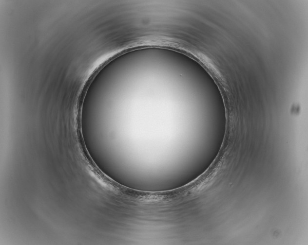 X0000090750846200708101723