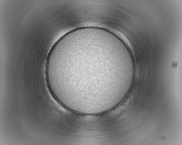 X0000090750847200708101723