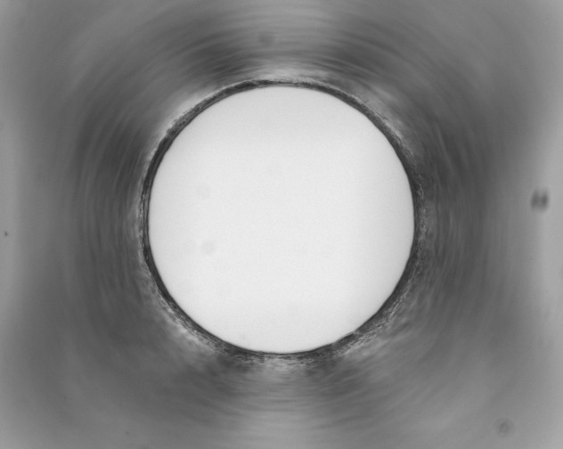 X0000090750848200708101723